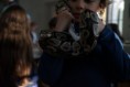 /album/art-nature-par-les-animaux-dhalloween/dsc05602-jpg/