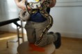 /album/galerie-de-photos-samedi-14-novembre-les-reptiles/dsc05730-jpg/